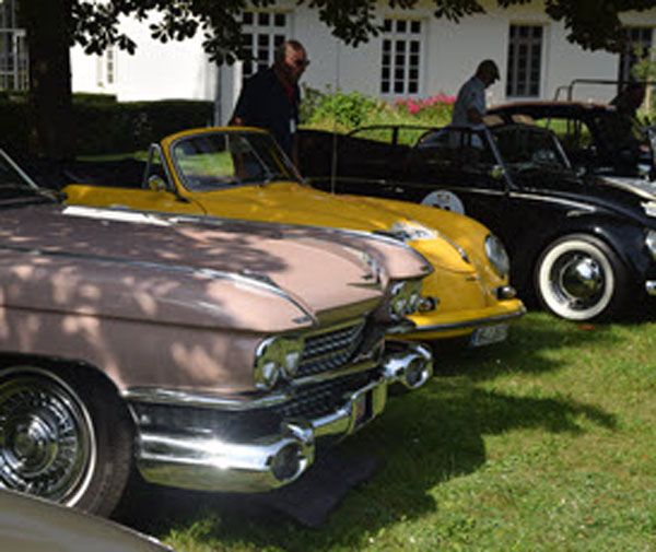 Sunflower Rallye 2019 - Fahrzeugpräsentation